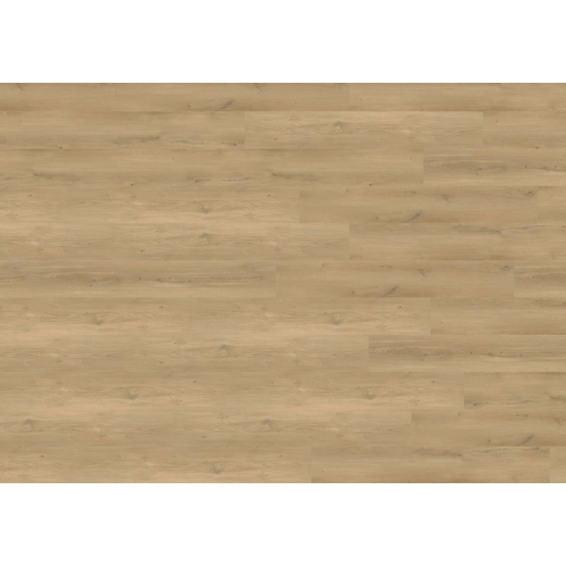 DB833WXL Stavanger Oak Nature 2.5mm klijuojama vinilinė danga