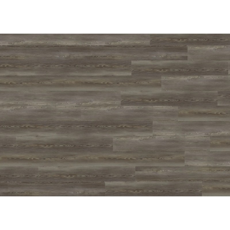 DB841WXL Catania Pine Grey 2.5mm klijuojama vinilinė danga