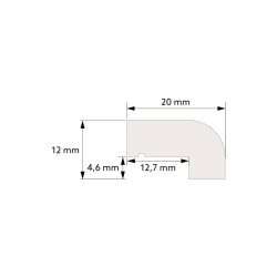 TP001 viršūnės užbaigimas WAINSCOTING angliška panelė